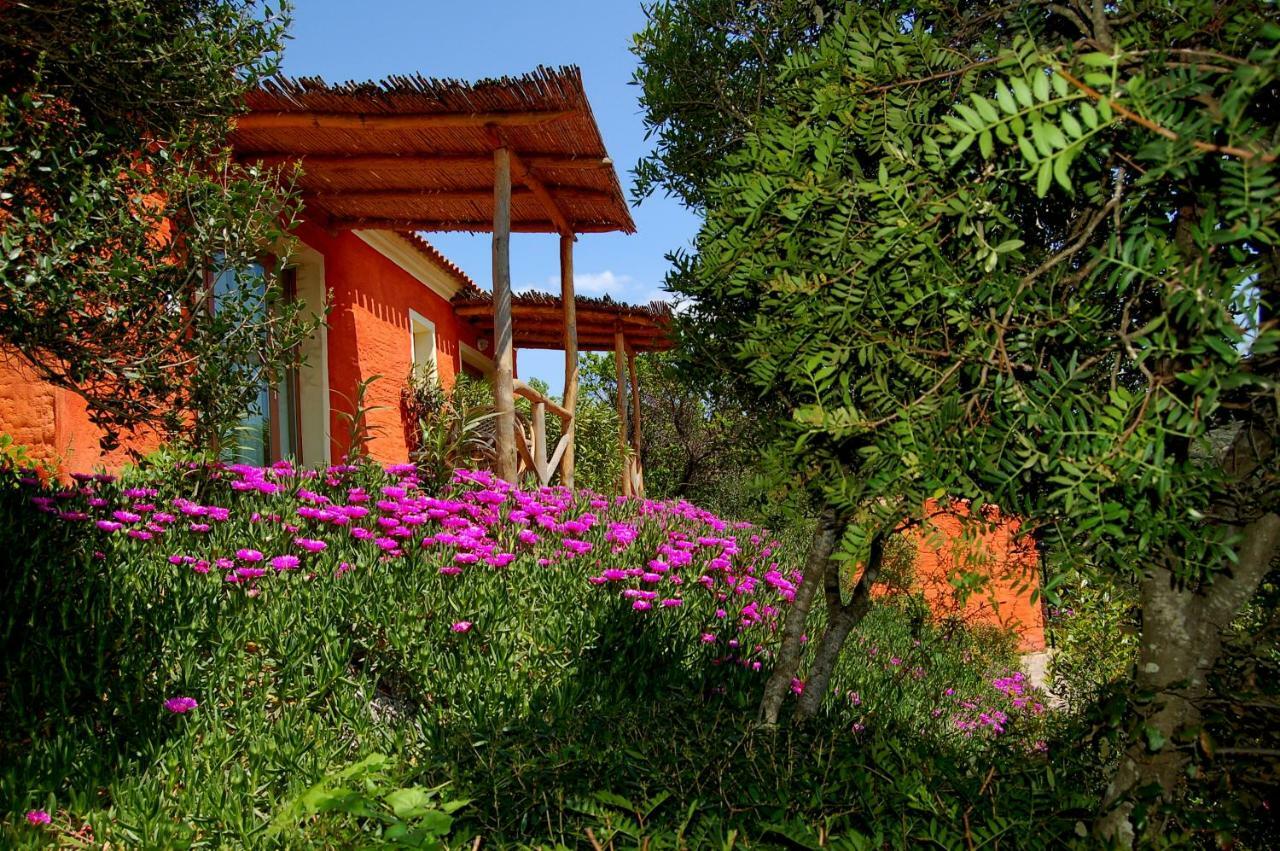 Hotel Aldiola Country Resort Сант'Антонио-ди-Галлура Экстерьер фото